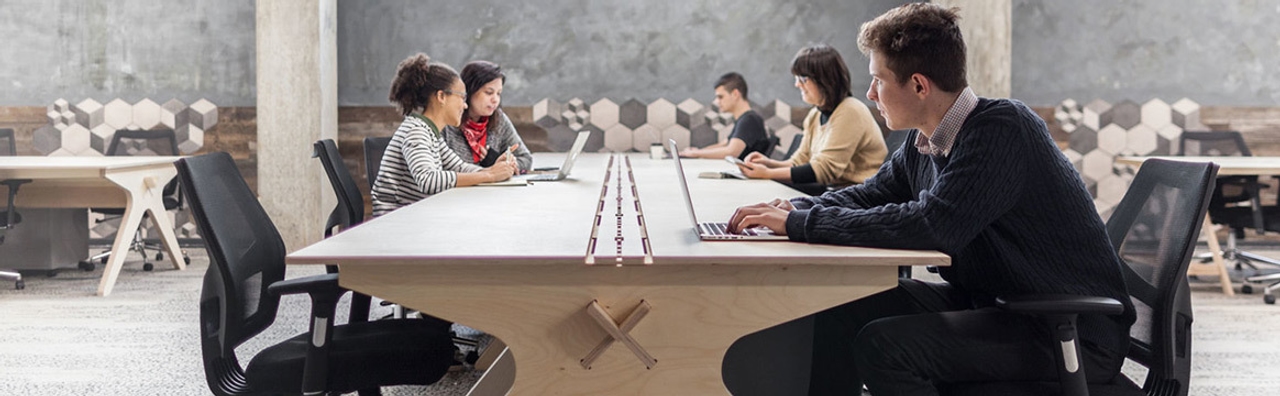 The Collective: Old Oak